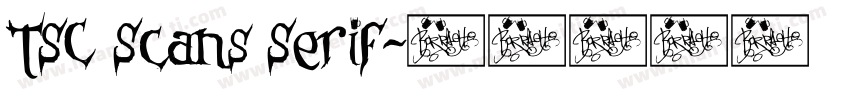 TSC Scans Serif字体转换